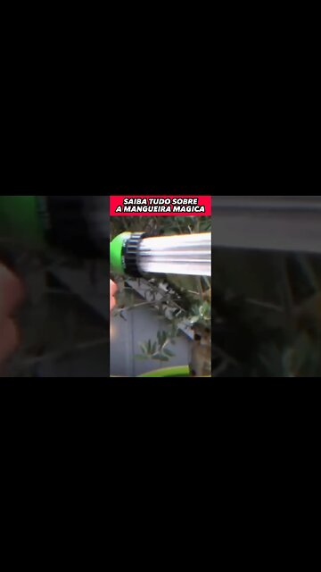 DESCUBRA TODO O SEGREDO ESCONDIDO DA MANGUEIRA MÁGICA