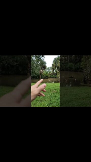 Hurricane Ian 4PM Sit Rep