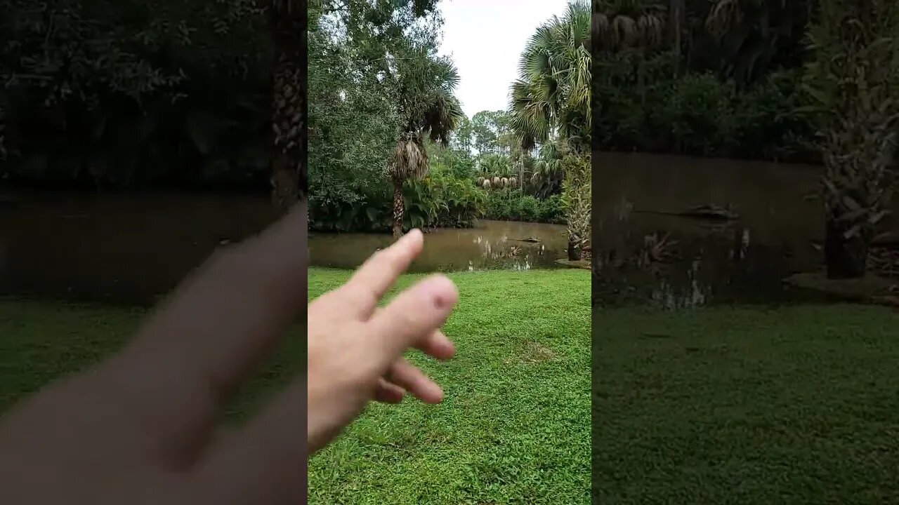 Hurricane Ian 4PM Sit Rep