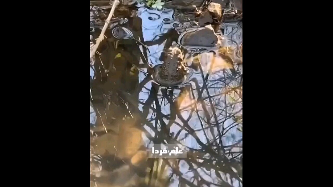 the living world