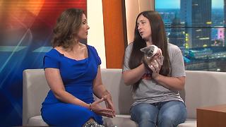 Pet of the Week - Antarctica