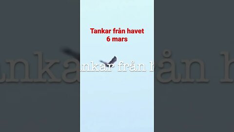 Tankar från havet 9 mars