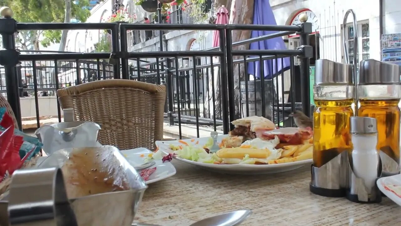 Sparrows stealing Bens food.