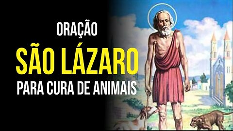 SÃO LÁZARO - oração para CURA de ANIMAIS