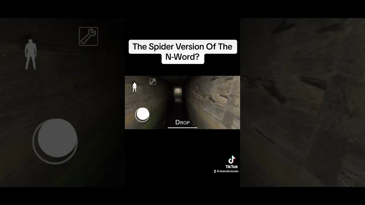 Spider Version of the N-Word? - Granny Horror Game