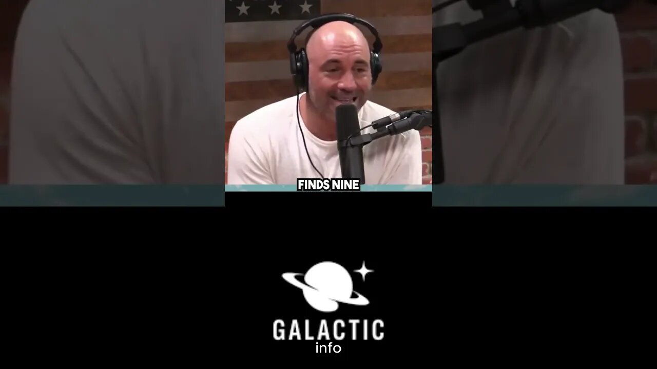 ..Joe Rogan on Pitbull Fight Story 🤯