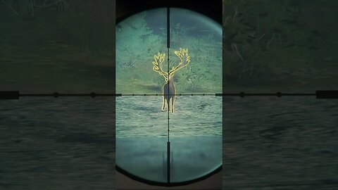 7MM vs 💎 Diamond - theHunter: Call of the Wild #shorts