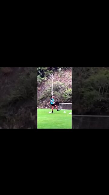 Gabriel Pires 👀. Tudo Pronto! 👀 #botafogo #brasileirão #segueolíder