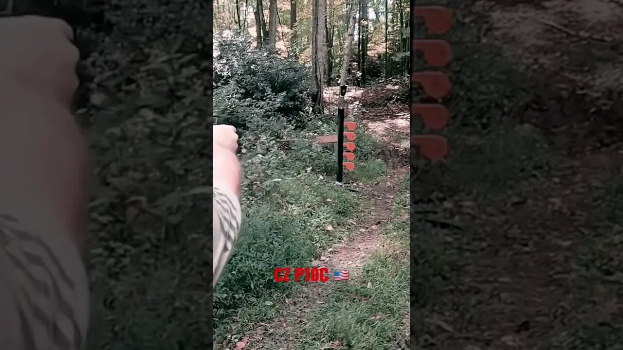 CZ P10C shooting Tree #shorts #guns #trending #viral #pewpew #shortsvideo #trend #cz