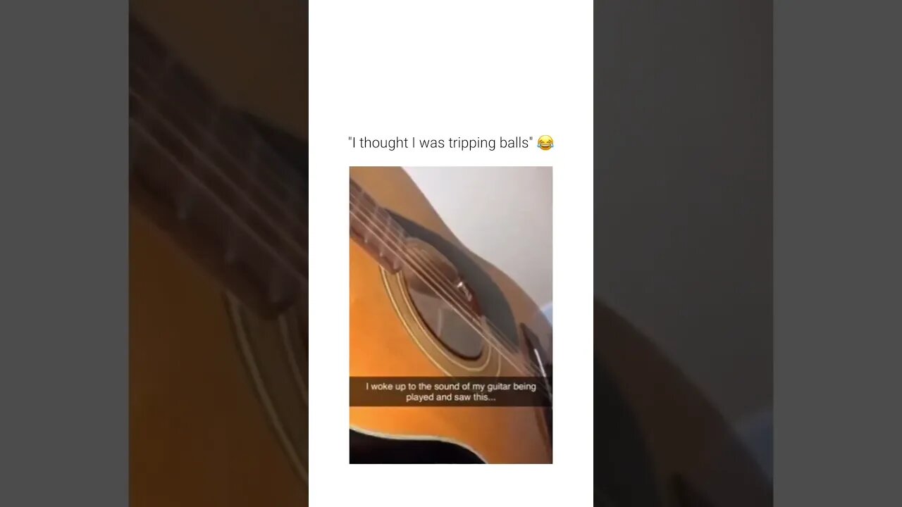 If the Beatles were in an Isekai and reincarnated to be overpowered guitar creatures