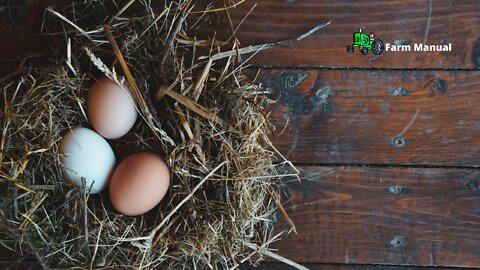 Farm | Simple and Rustic
