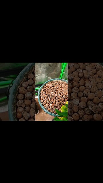 snow plow in june🤣