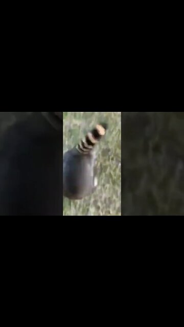 We all know someone like this #shorts #eldenring #youtubeshorts