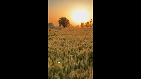 Punjab