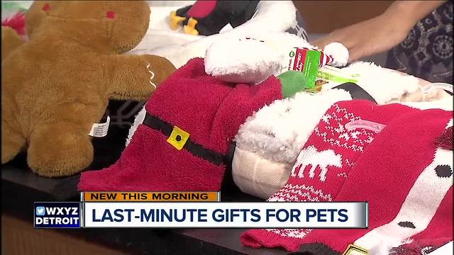 Last-minute pet gifts