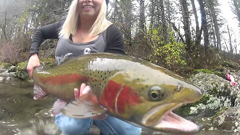 Winter Steelhead Fishing | Big Fish & Beautiful Scenery