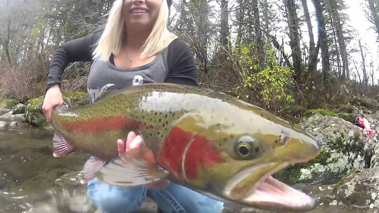 Winter Steelhead Fishing | Big Fish & Beautiful Scenery