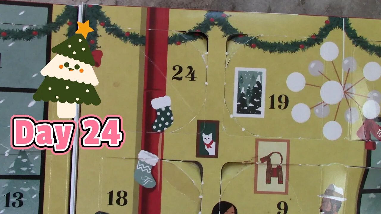 Fancy Feast Advent Cat Calendar Day 24 🎄😺