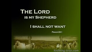 Psalm 23 - Pastor Greg Locke Wednesday night prayer and praise service