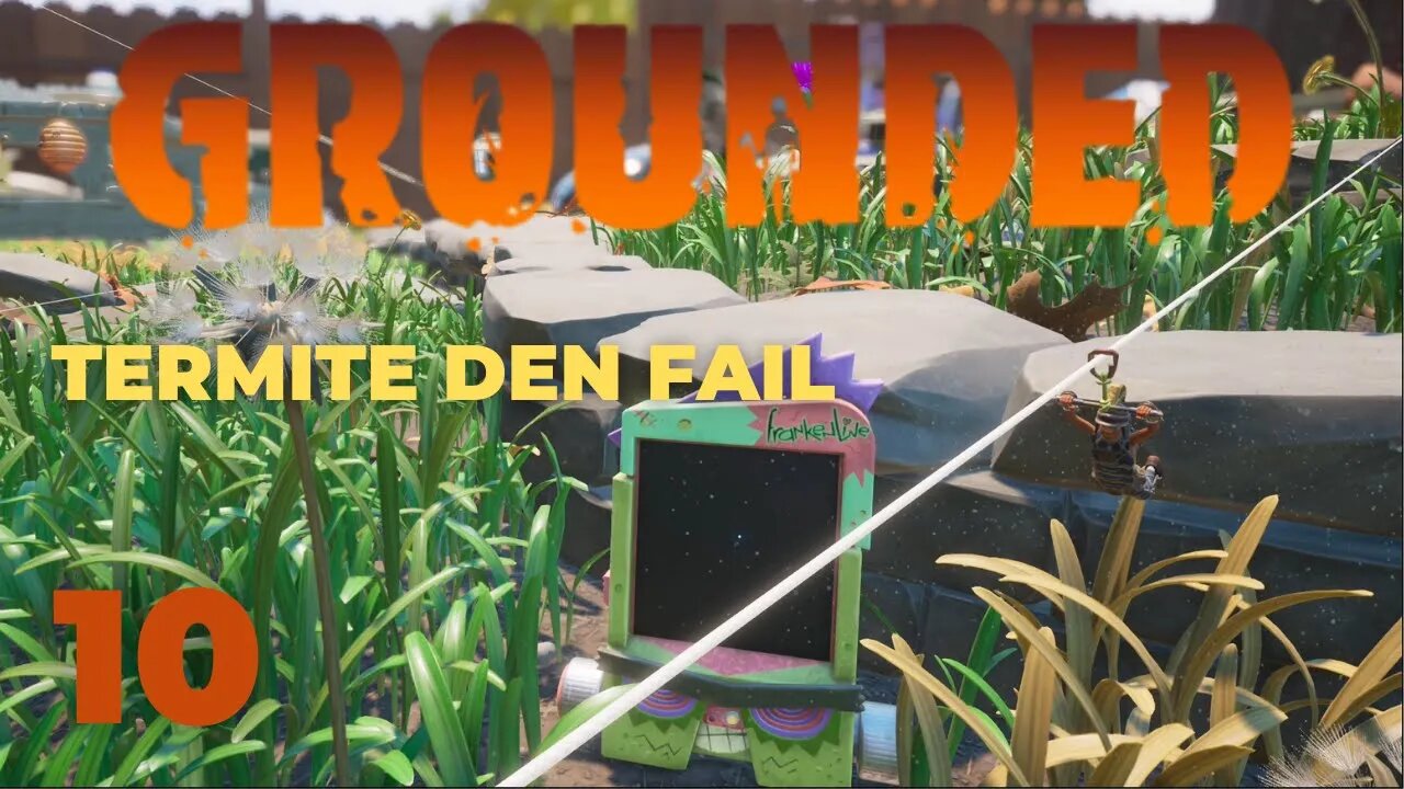Failed Invasion Of Termite Den - Grounded Into The Wood - 10