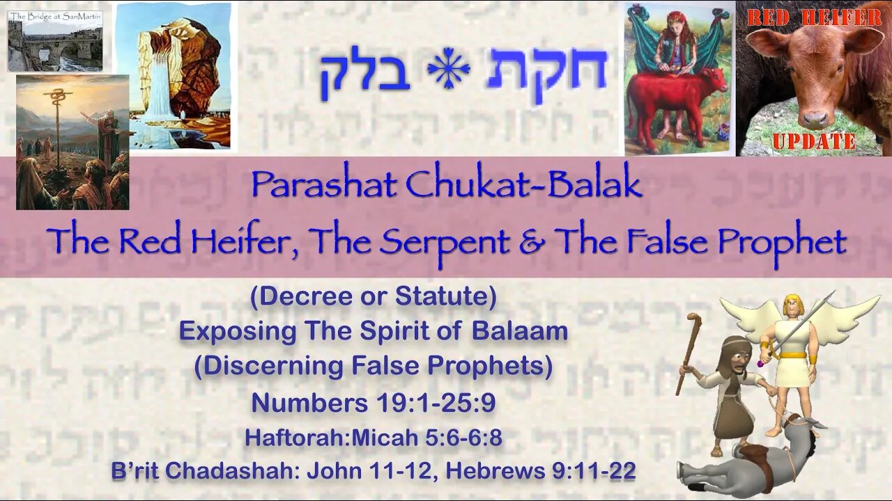 Parsha Chukat-Balak | The Bridge at San Martin Shabbat Service - July 1, 2023