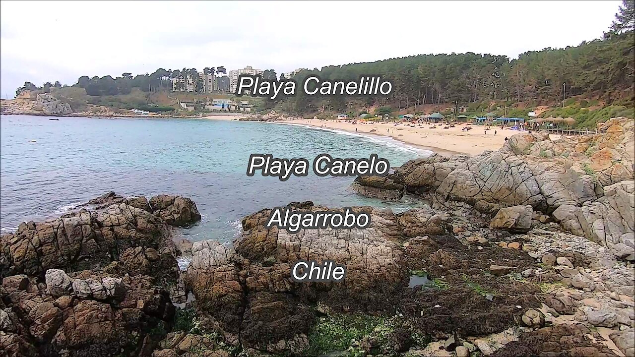 Playa Canelillo playa Canelo in Algarrobo, Chile