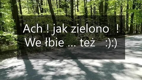 Ach ! jak zielono ! We łbie też :):)