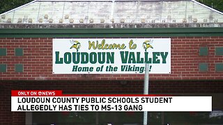 MS-13 Illegal Attending Virginia School… Carrying Loaded Gun… Threatened To Kill Another Student