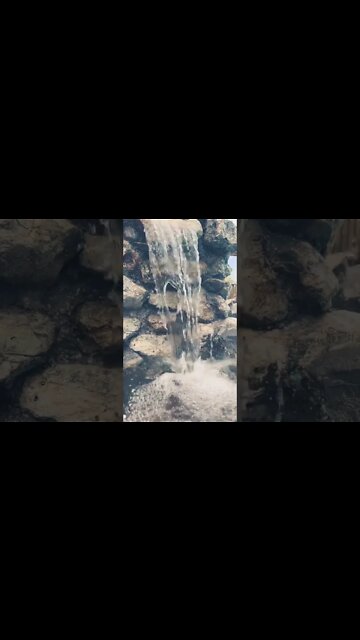 A Moment for Reflection