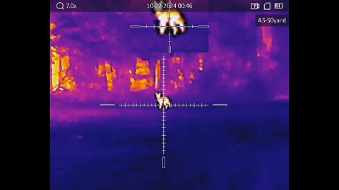 22 arc vs coyote