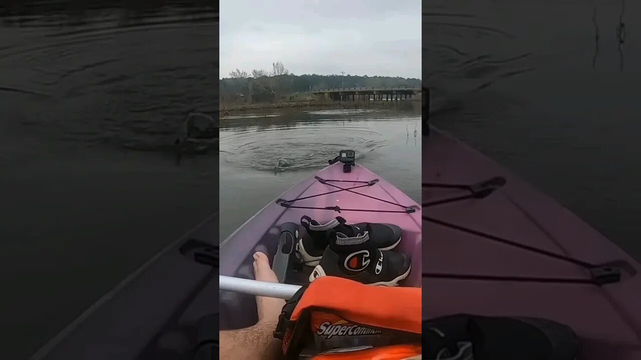 Wait for it 😱