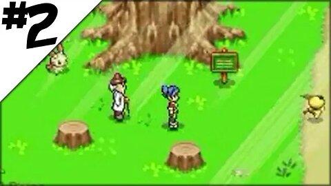 Pokemon Ranger Walkthrough Part 2: Round Trip