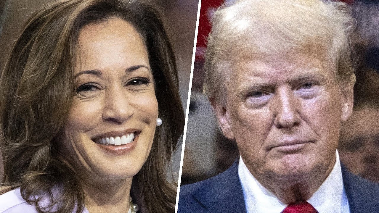 Trump ‘scared to death’ to debate Harris and so is his campaign: Analyst