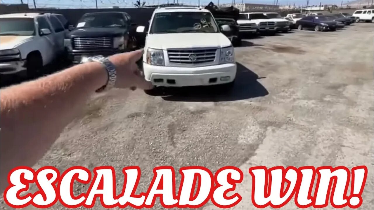 So Many Trucks, Diesels, Escalade, Ram 3500, Excursion, Harley Truck, IAA Walk Around