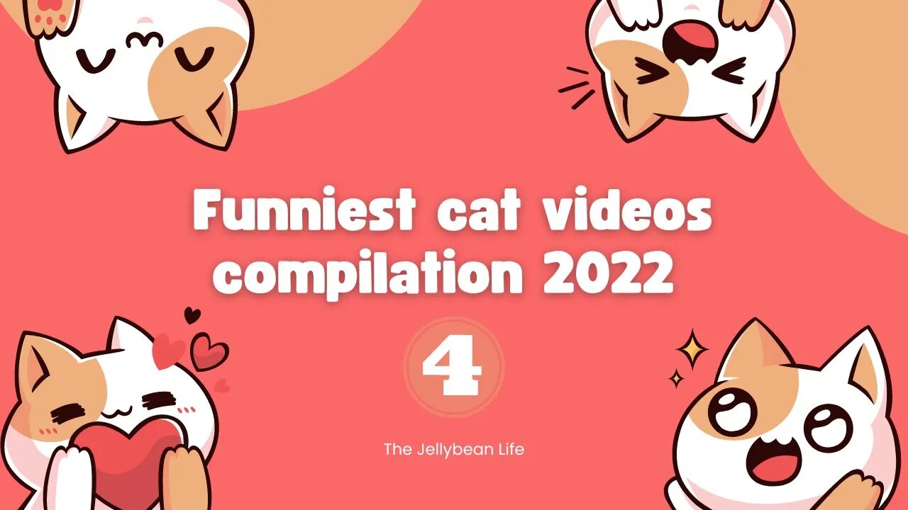 Funniest Cat Videos Compilation 2022😺 | Cats Can Make you Laugh within Minutes😹| Part 4