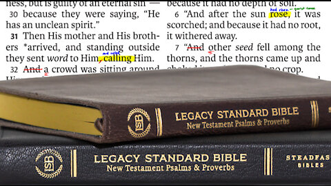 Total Hypocrisy On The Legacy Standard Bible