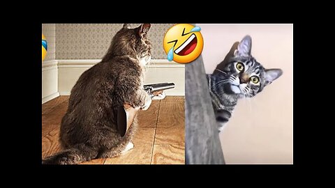 World Best Funniest🤣Cat vs animal vs Kid 🤼‍♂️ Entertainment Don't Try Laughing 🤣 2024 clips 🫡