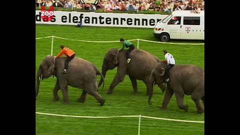 Elephant Race