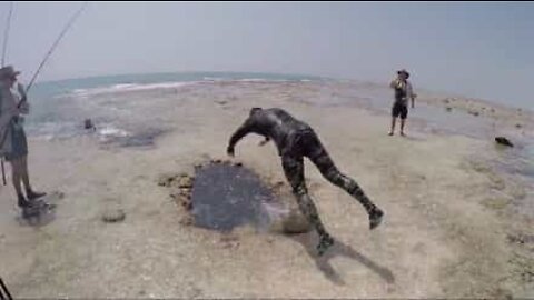 Sukellus johtaa koralliluolaan