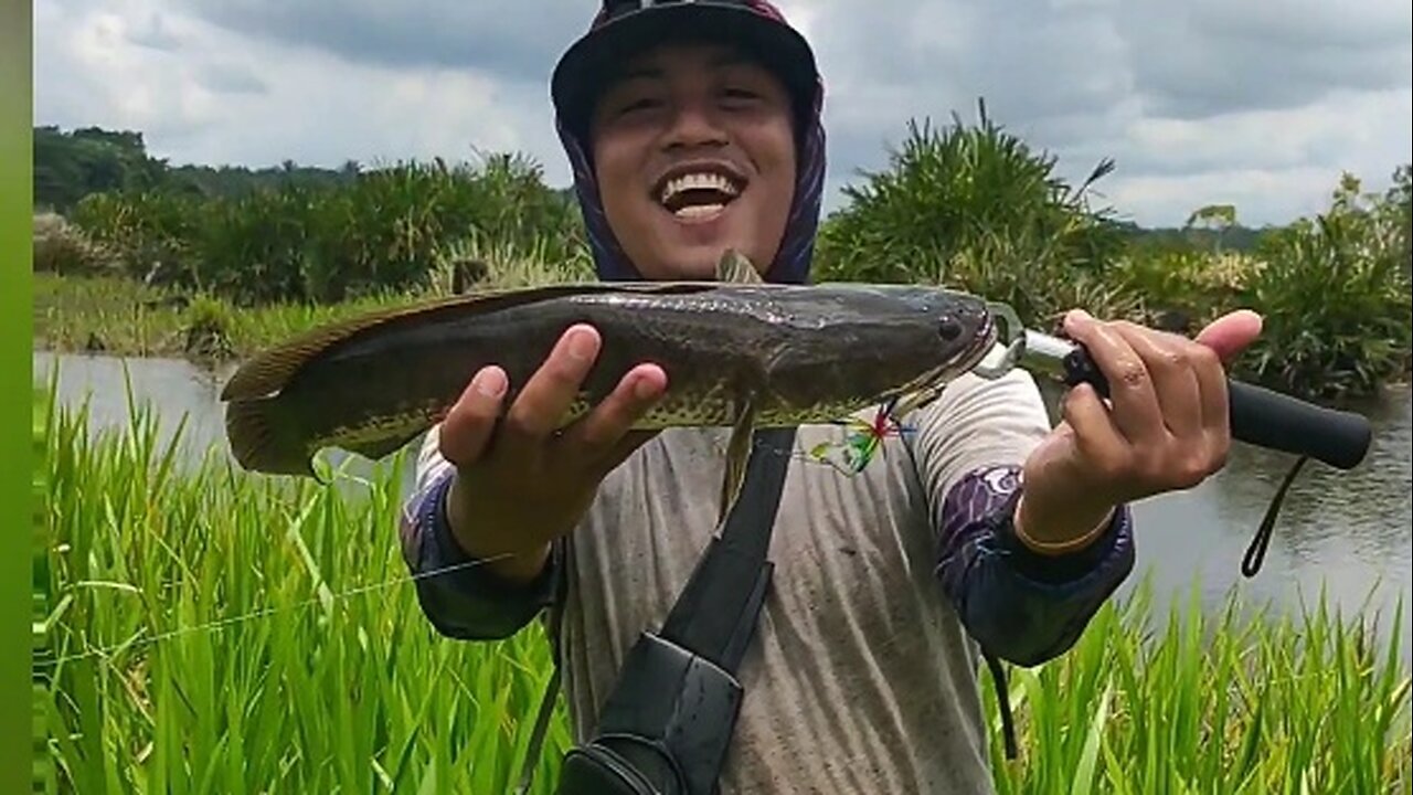 Casting Fishing on the Edge of the Overflowing Lake // Satisfying Results