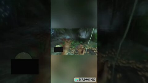 Taking mushrooms for the first time and feeling high… (say no to drugs) - Far Cry 3