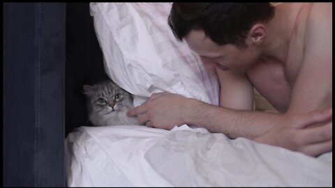 Cute cat sleeping behind my pillow