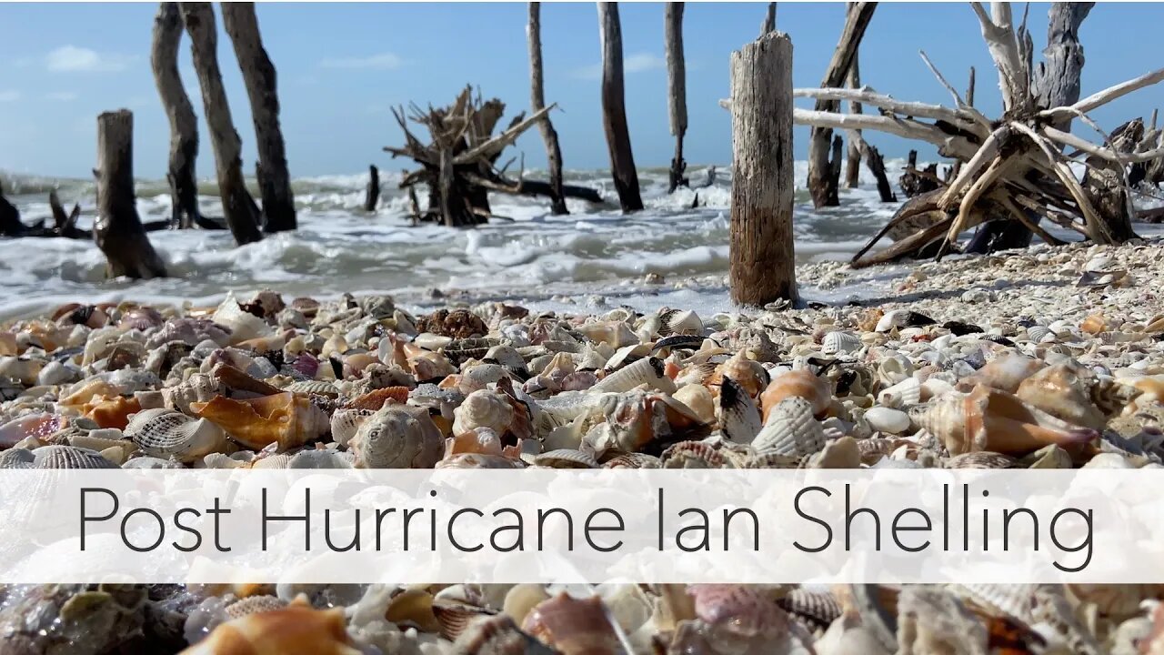 Post Hurricane Shelling - Hurricane Ian Southwest Florida 2022