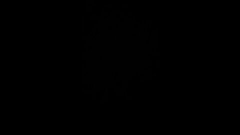 How to pronounce carbon credits