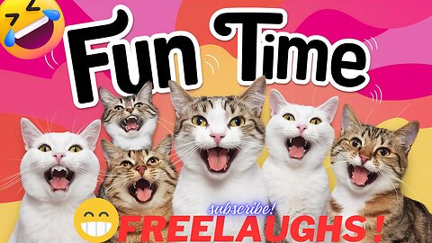 FUN CATS !!!