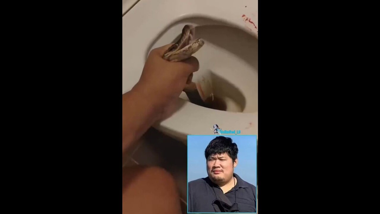 Man Is Bitten In The Nuts By A Paython On The Toilet, Beat The Snake To Death With A Toilet Brush