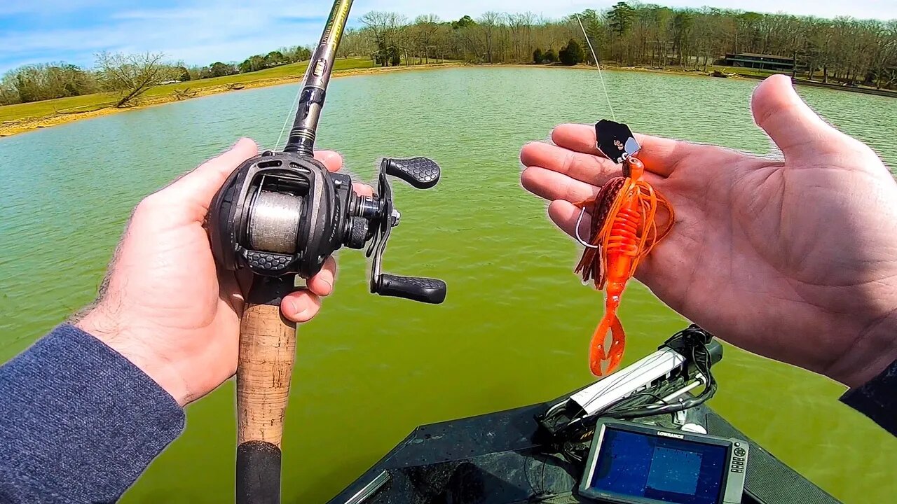 EVERYONE WANTS this CRAZY Color Chatterbait!