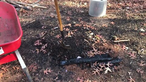 Enjoy your land and build the soil too