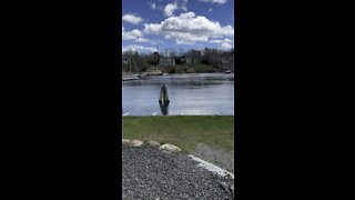 Beautiful Rockport Maine Harbor