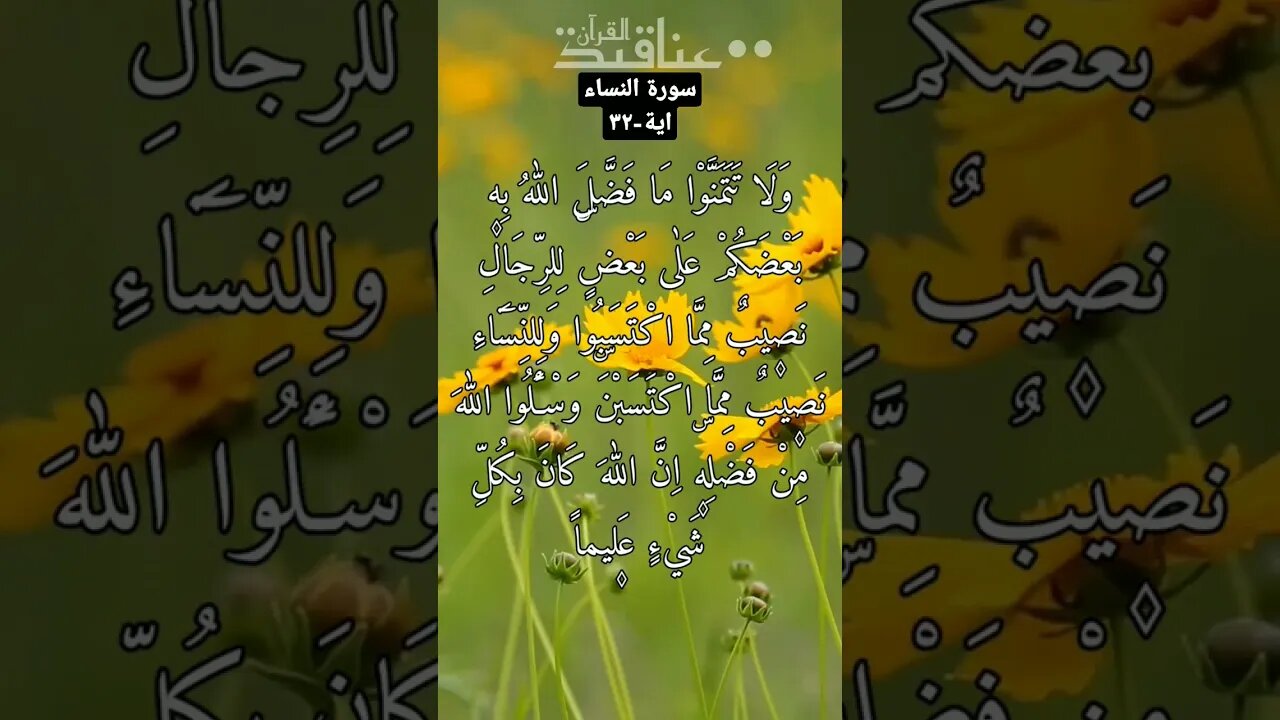 سورة النساء-(٣٢) قارئ الشيخ عبد الرحمن البيتي Sura Nisa -(32) #quran #viral #shorts